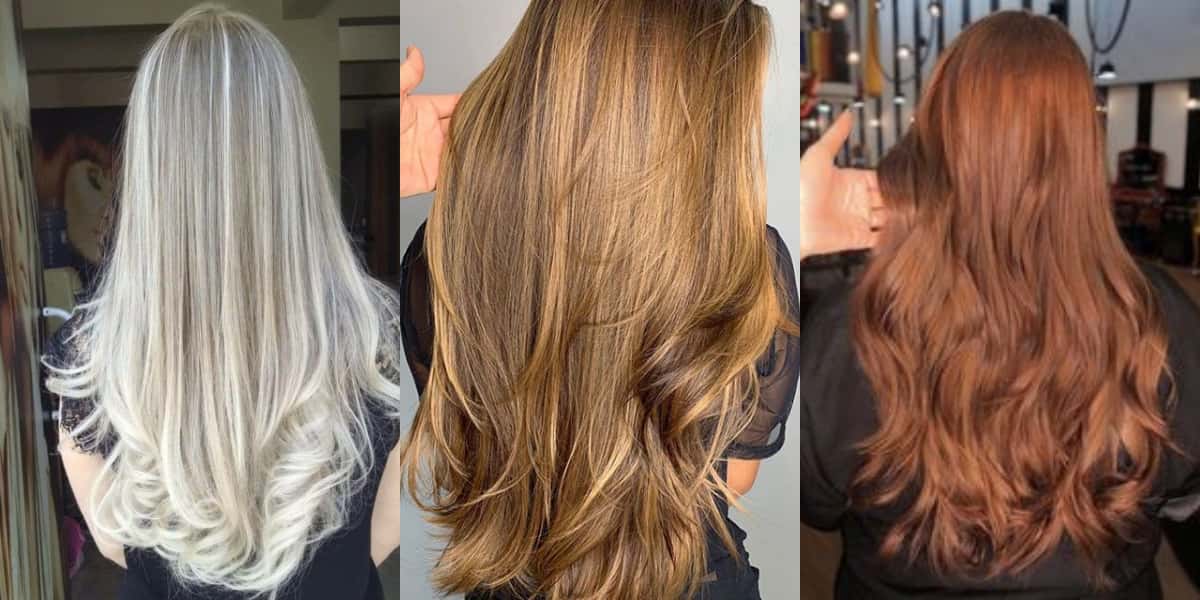 Cores de cabelo para 2024 (Foto: Divulgação)