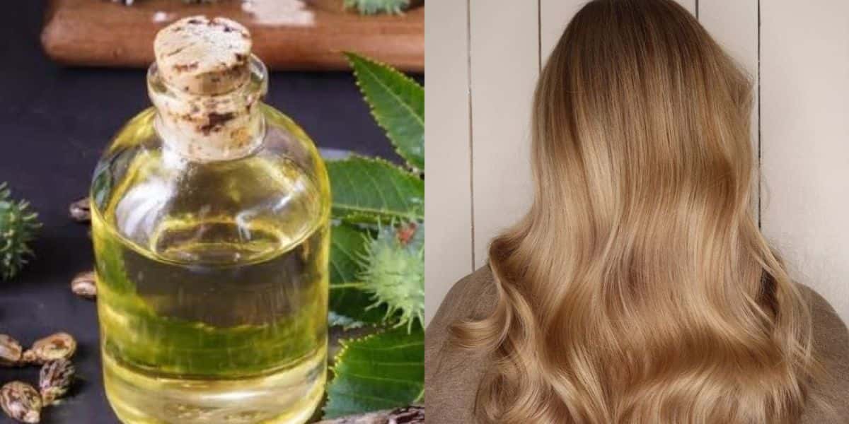 Um óleo natural deixa cabelo melhor que progressiva e botox (Reprodução: Montagem TV Foco)