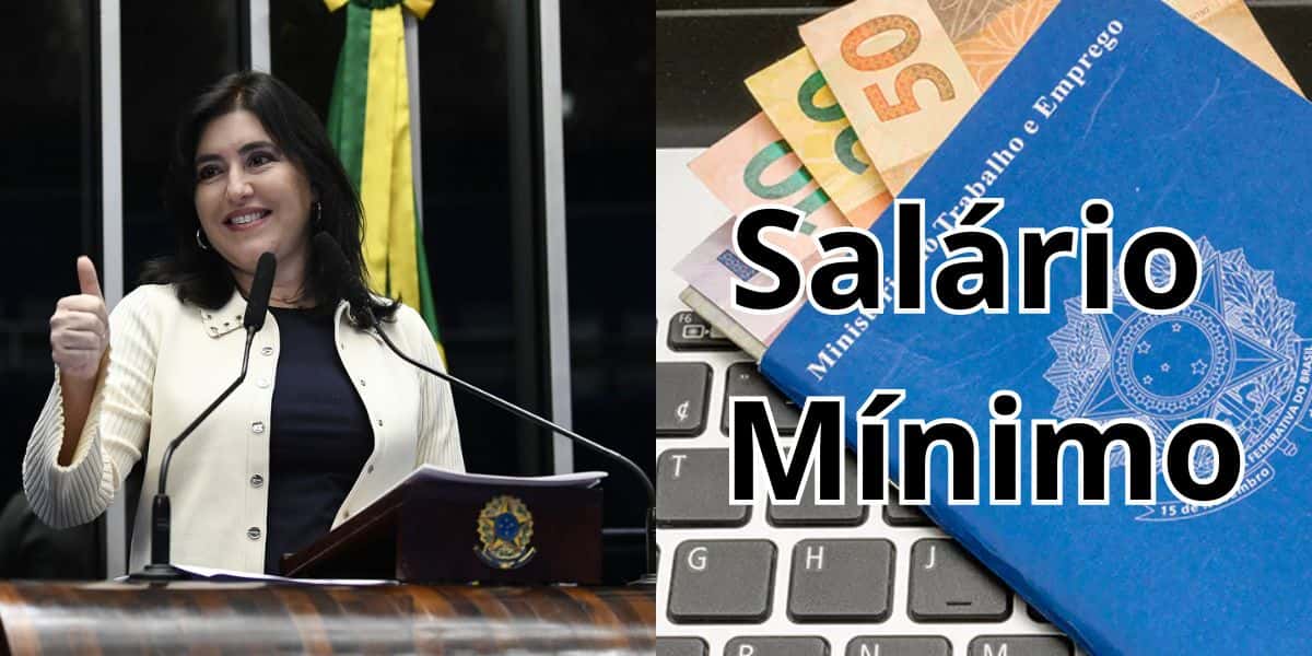 Tebet confirma lei que atinge o salário mínimo em cheio (Reprodução: Montagem TV Foco)