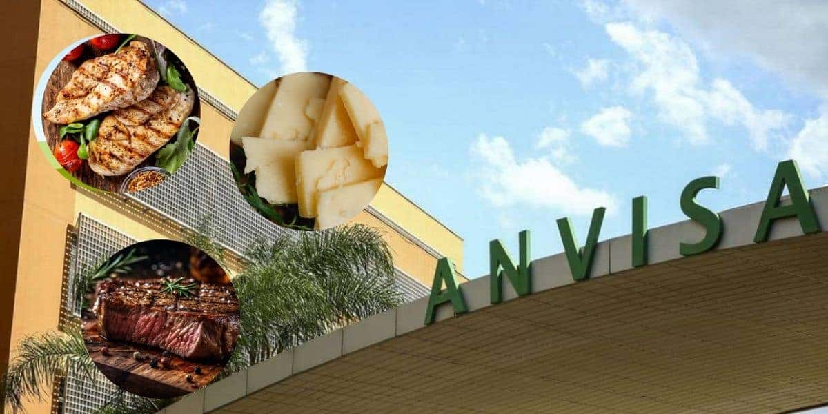 Frango, carne, queijo e Anvisa (Fotos: Reproduções / Freepik / Marcelo Camargo)