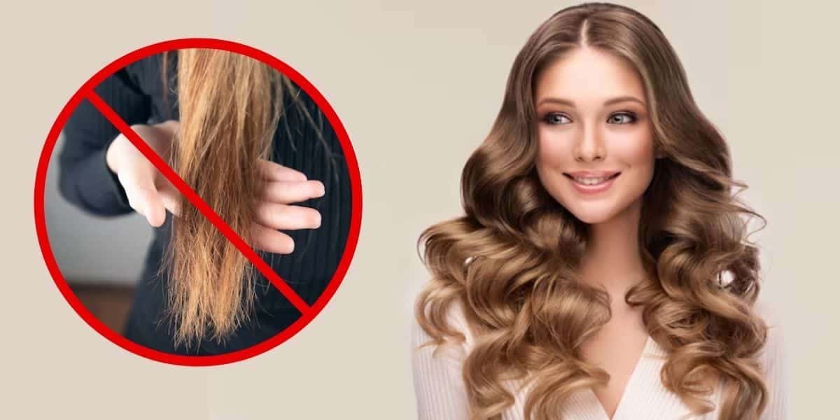 Cabelo com pontas ressecadas e modelo (Fotos: Reproduções / Freepik / Canva)