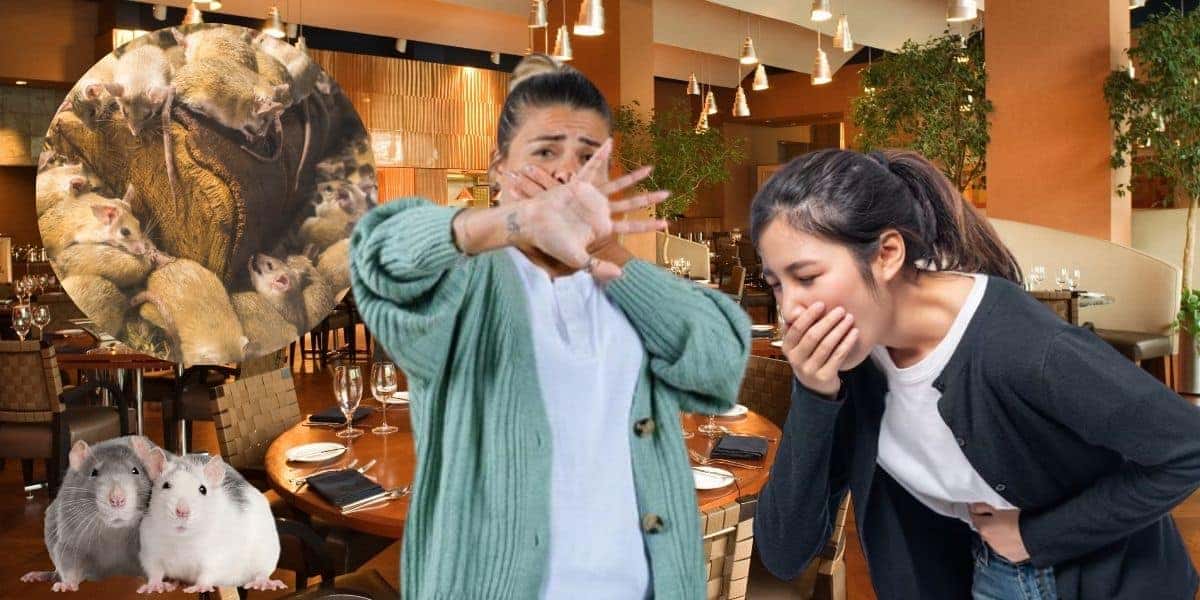 Restaurante, mulheres com nojo e ratos (Fotos: Reproduções / Canva / Freepik)