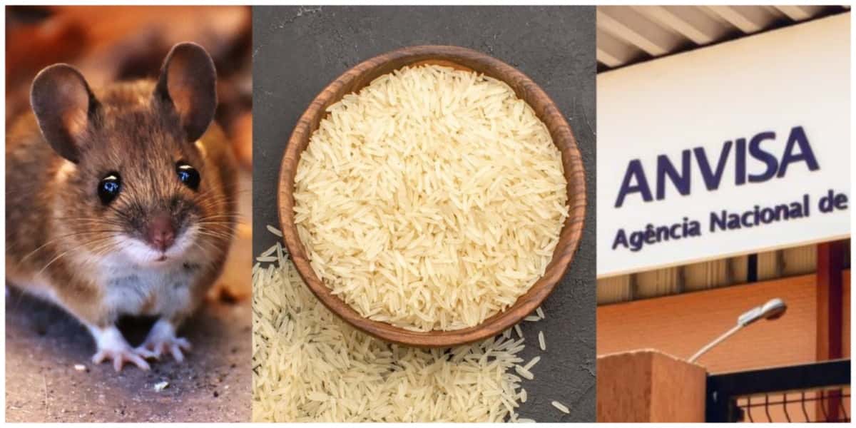 A proibição da Anvisa contra marca de arroz - Foto: Internet
