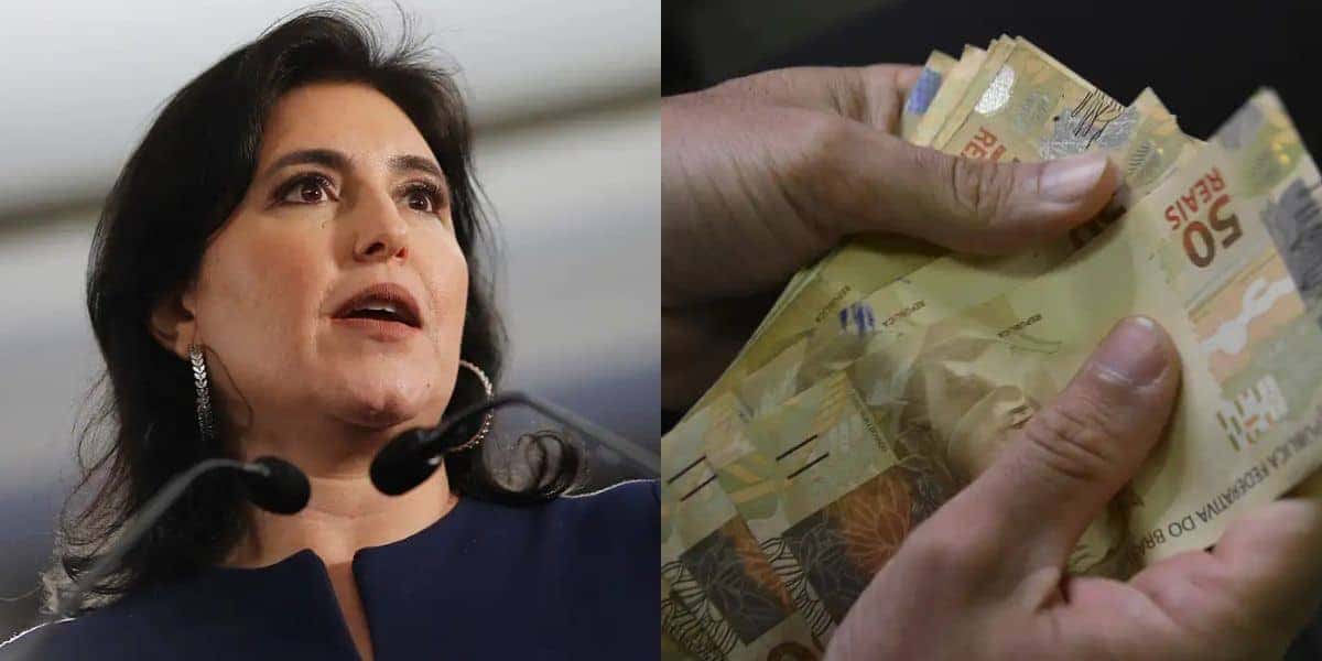 Simone Tebet fez declarações importantes (Foto: Agência Brasil)
