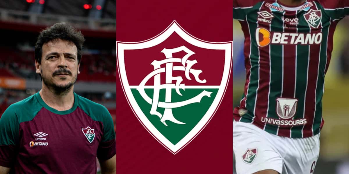 Fernando Diniz preocupado com futuro de craque no Fluminense (Foto: Divulgação)
