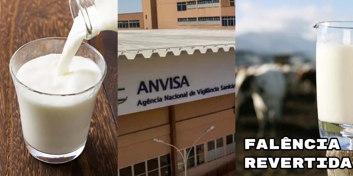 De falência a Anvisa, o ressurgimento de 3 marcas de leite (Foto: Divulgação)