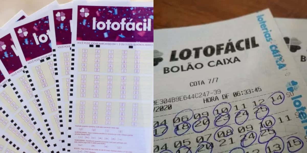 Os números que mais saem na Lotofácil (Foto: Divulgação)