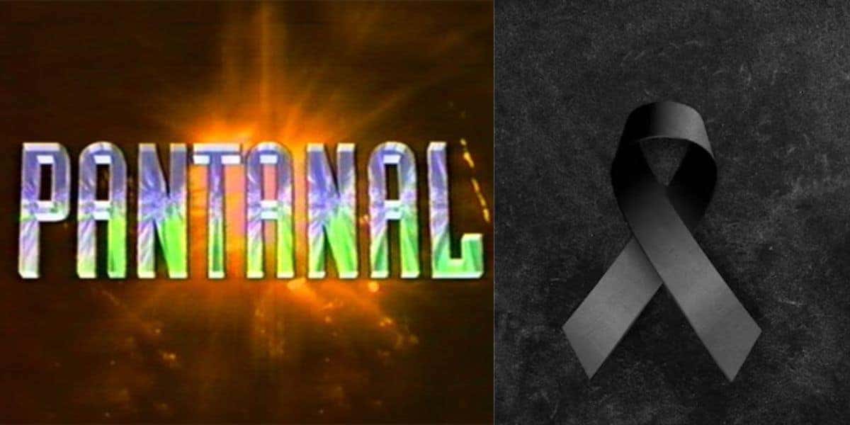 8 atores de pantanal faleceram e deixaram saudades (Reprodução: Montagem TV Foco)