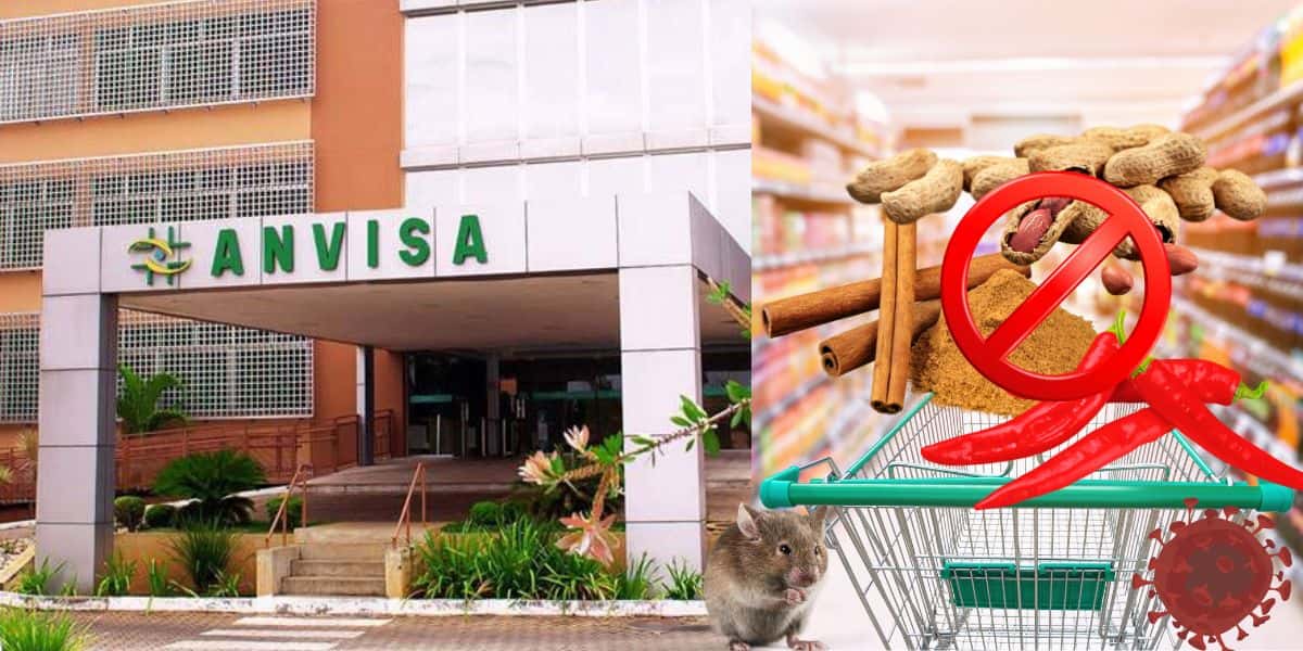 Fachada da Anvisa e marca de pimenta, canela e amendoim barradas dos supermercados (Foto: Reprodução / Canva / Montagem TV Foco)