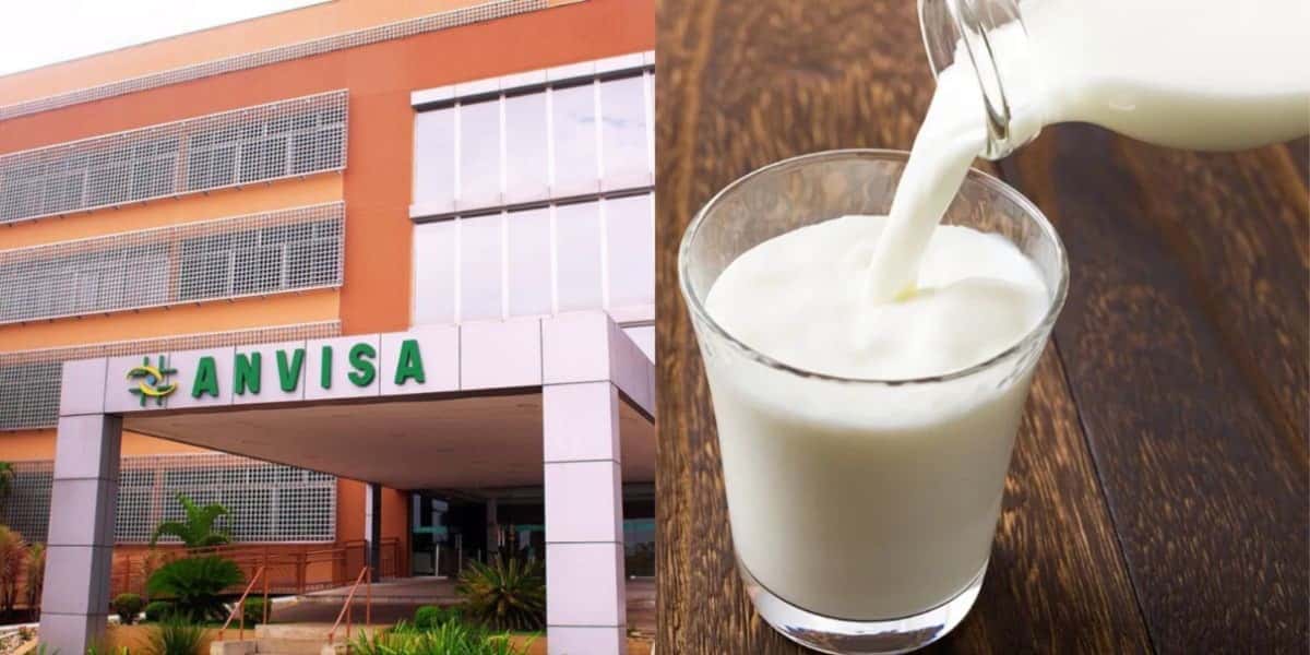 O decreto da Anvisa contra leite nº1 do Brasil - (Foto: Reprodução / Internet)