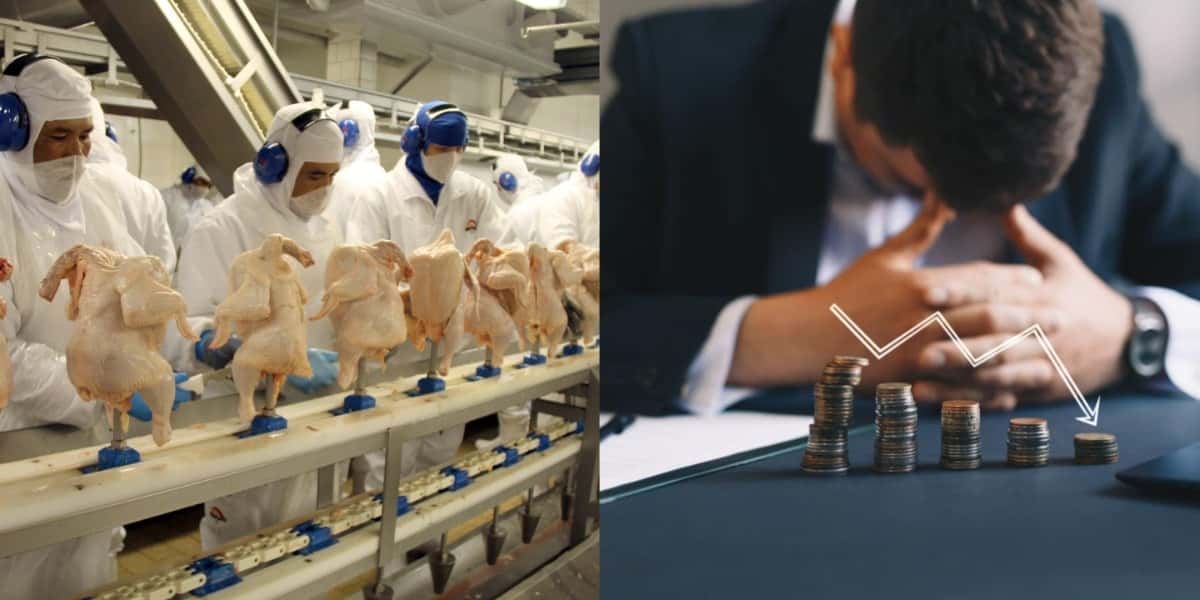 Empresa gigante de alimentos teve a falência decretada (Foto: Reprodução/ Internet)