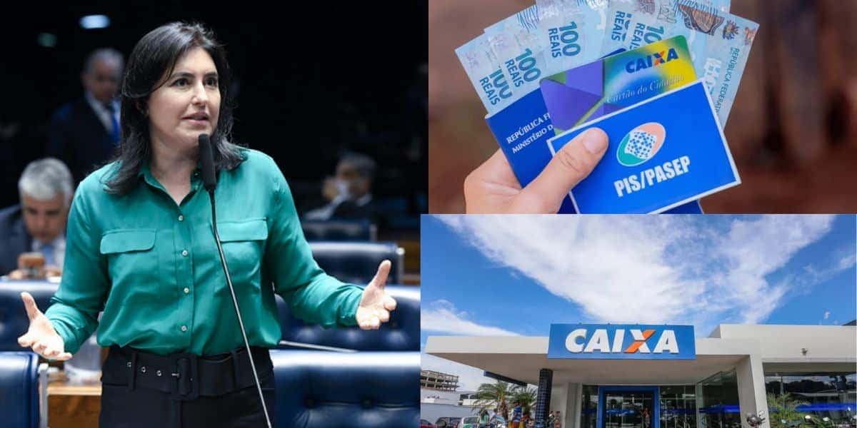 Simone Tebet dá veredito sobre leis que atingem PIS e FGTS (Reprodução: Montagem TV Foco)