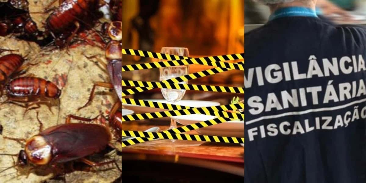3 pizzarias lacradas pela Vigilância, incluindo rede gigante de SP - Foto: Montagem