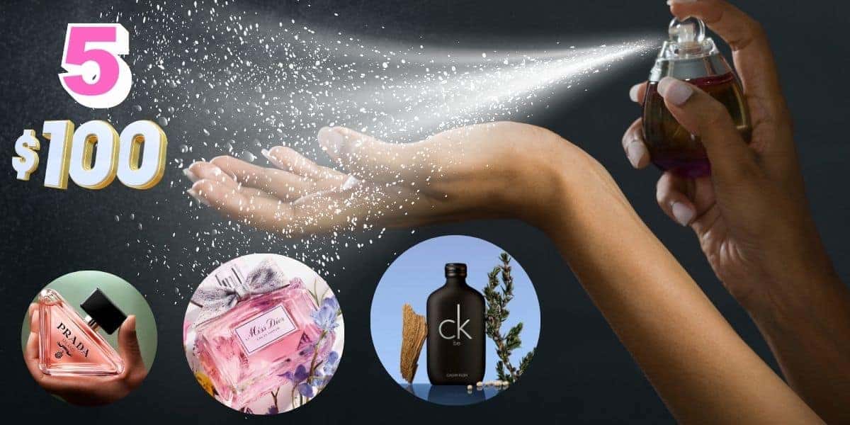 5 perfumes na casa dos R$ 100 (Foto: Reprodução / Canva / Montagem TV Foco)