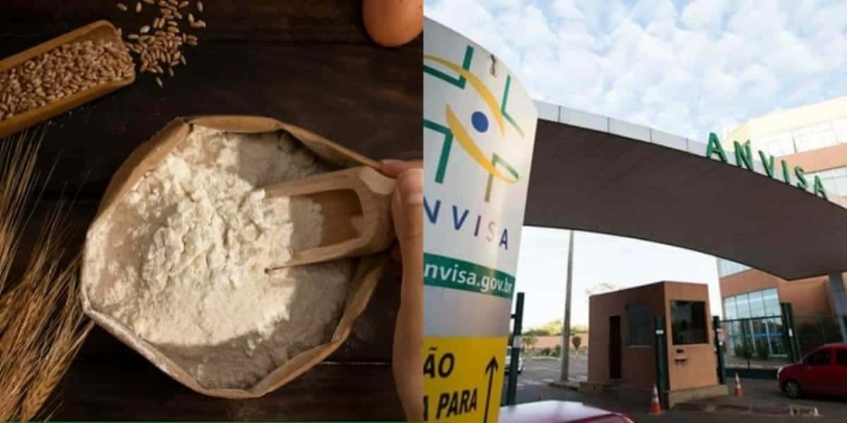 Anvisa - Farinha (Foto: Reprodução, Montagem - TV Foco)