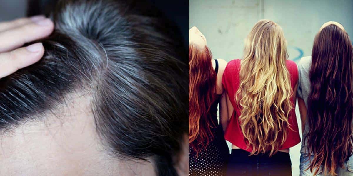 Cabelo loiro, moreno e ruivo - grisalho (Foto: Reprodução, Montagem - TV Foco)