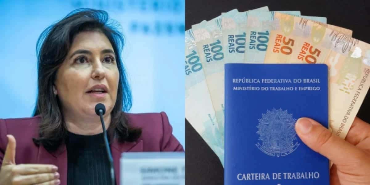 Simone Tebet - Salário mínimo (Foto: Reprodução, Montagem - TV Foco)