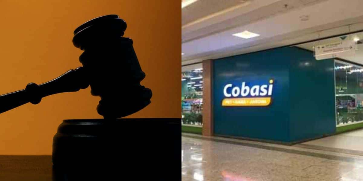 Nova lei dá fim em serviço popular da Cobasi em shoppings (Reprodução/Montagem/Canva/DGABC)