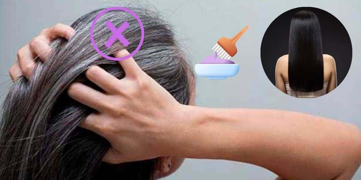 Cabelo grisalho e moreno (Foto: Reprodução / Canva / Montagem TV Foco)