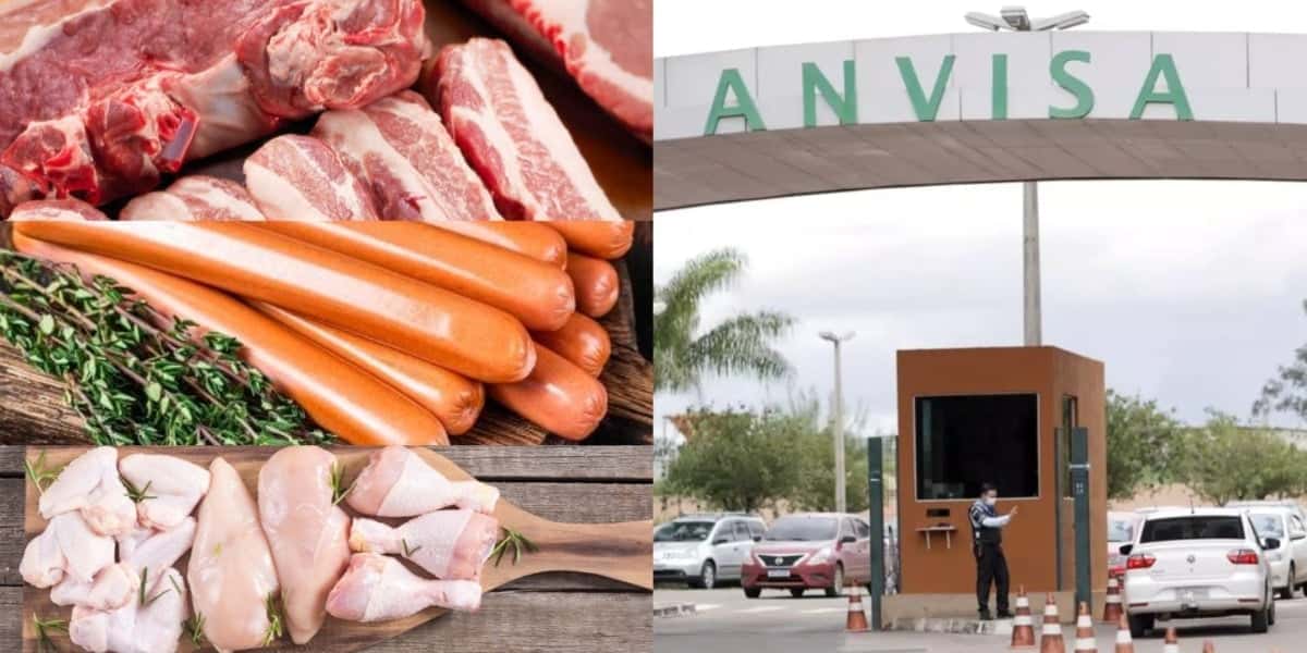Anvisa proíbe às pressas 3 marcas populares de carne, frango e salsicha - (Foto: Montagem / TV FOCO)