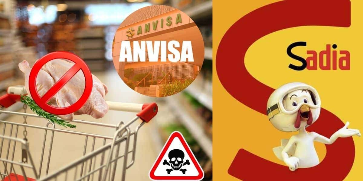 Frango em supermercado, fachada da Anvisa e logo da Sadia (Foto: Reprodução / Gov / Canva / Site da Sadia / Montagem TV Foco)