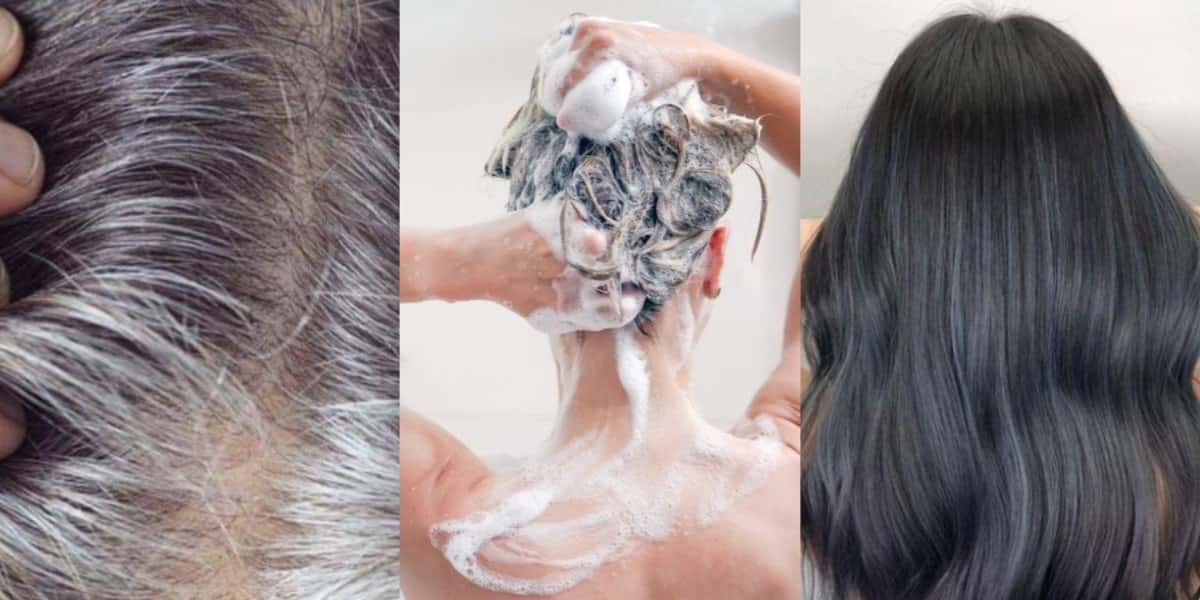 Único ingrediente acaba com o grisalho e rejuvenesce mulheres 50+ - Foto: Montagem