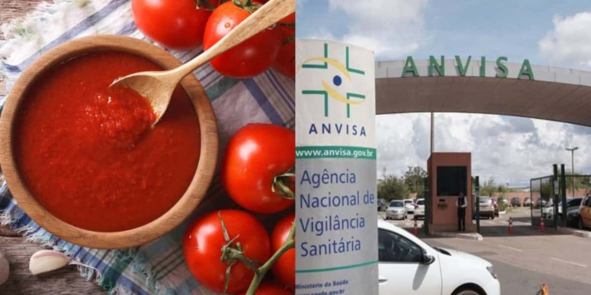 Anvisa faz proibição urgente contra duas marcas de molhos de tomate - (Foto: Montagem / TV FOCO)