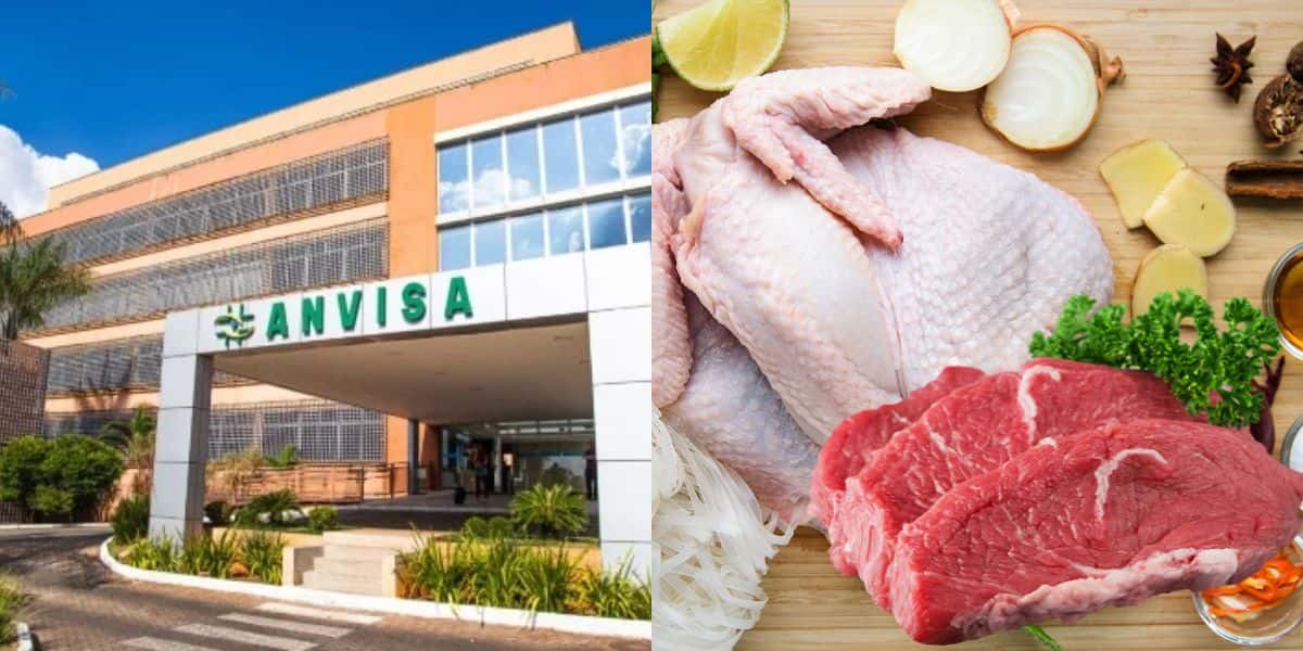 Anvisa proíbe 2 marcas de carne e frango (Reprodução/Gov/Canva)
