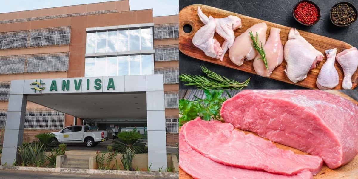 Anvisa faz proibição contra carne, frango e +1 - (Foto: Reprodução / Internet)