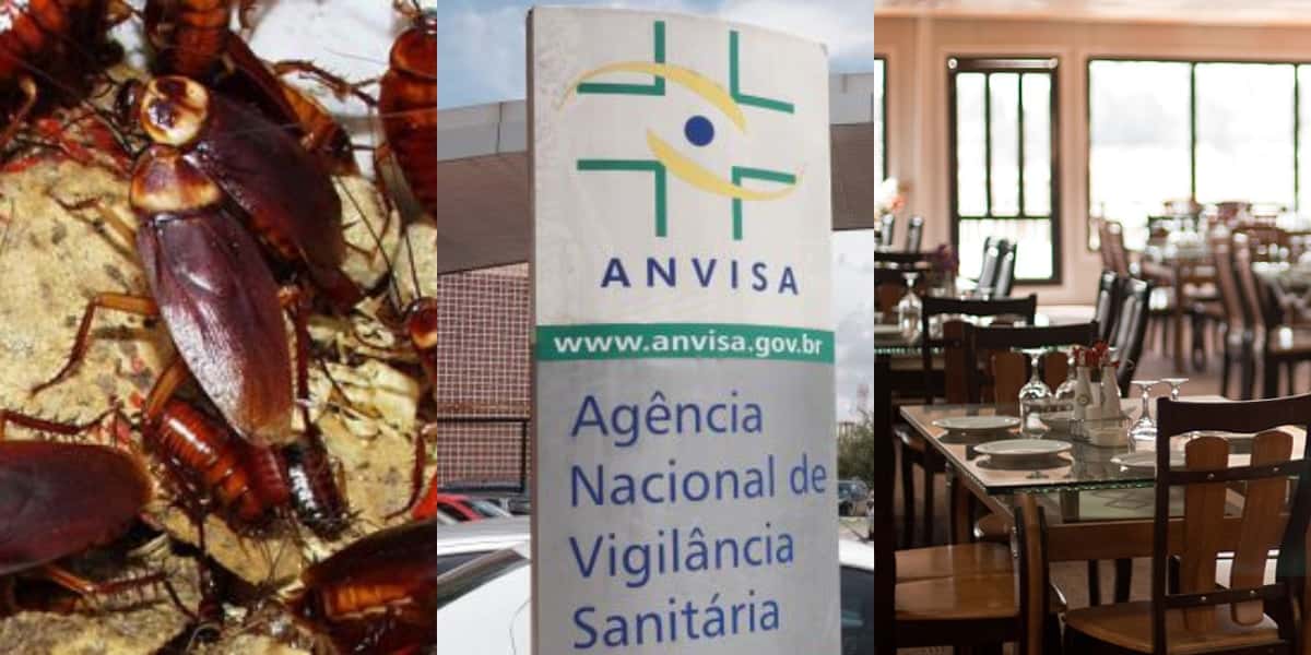 Anvisa manda barrar 5 restaurantes por conta de baratas (Foto: Montagem TV Foco)