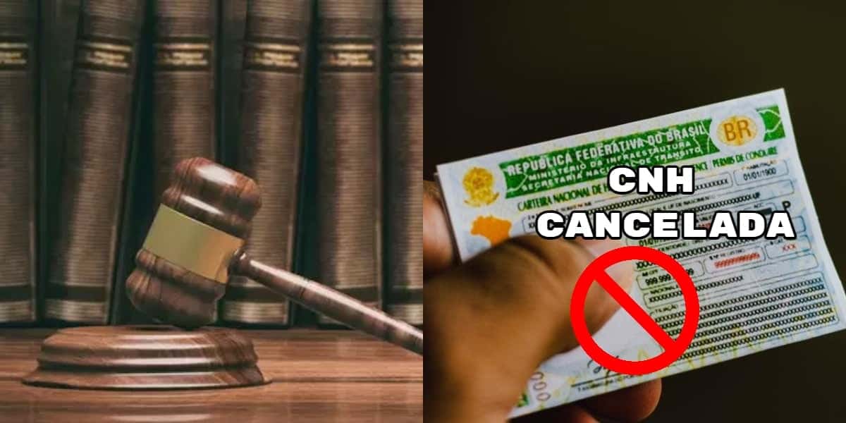 Lei envolvendo a CNH, faz ela ser cassada por conta dessas 3 ações no trânsito (Foto: Montagem TV Foco)