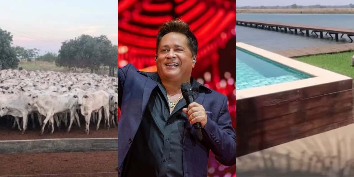 R$60M, lagos e maior que shopping: Fazenda de Leonardo (Foto: Reprodução/Montagem TV Foco)