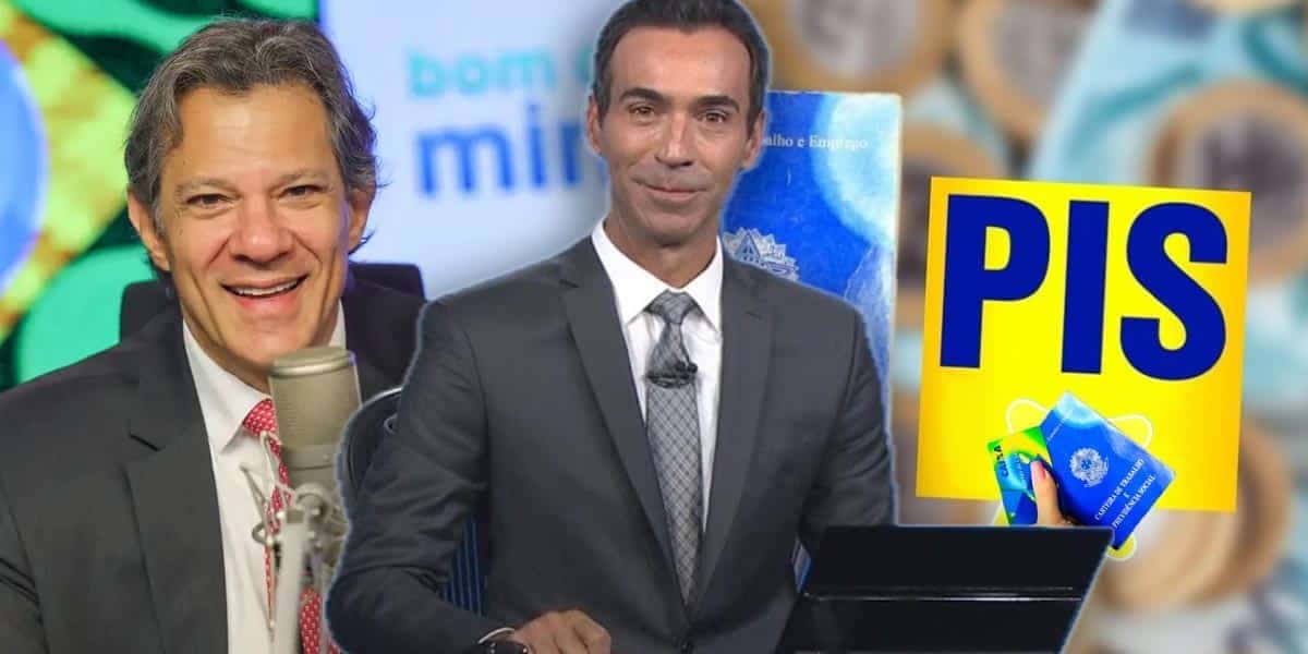 Tralli - Haddad (Foto: Agência Brasil) - PIS - Montagem - TV Foco, Well
