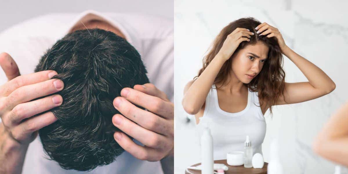 Chá ajuda a se livrar do cabelo branco (Foto: Divulgação)