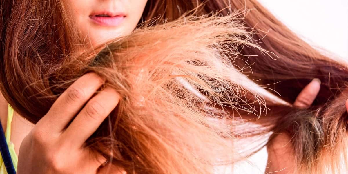 Cabelo ressecado - (Foto: Montagem)
