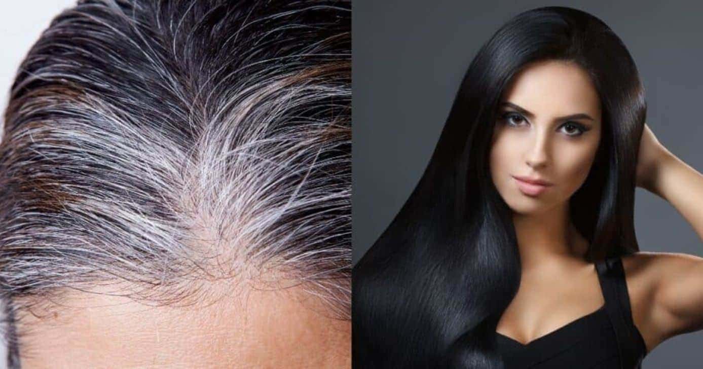 Antioxidante natural extermina o cabelo branco em 4 passos (Reprodução/Montagem TV Foco/Canva)