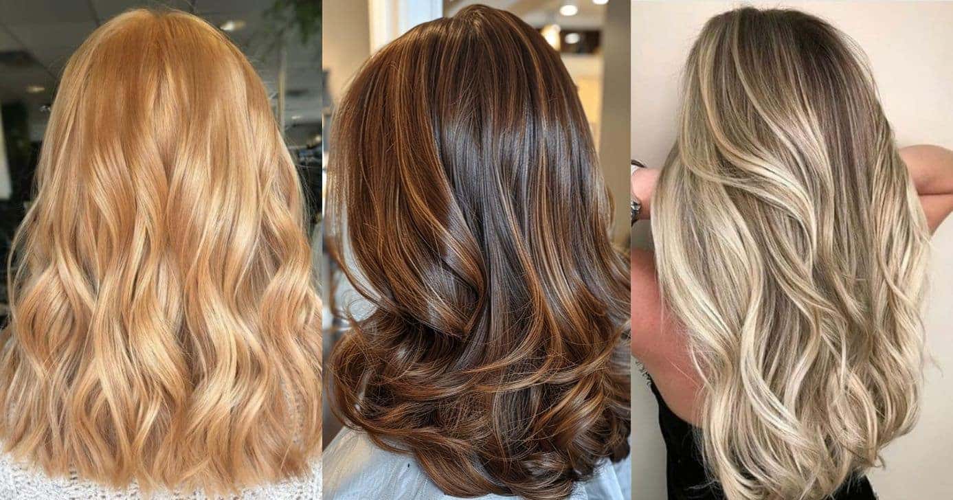 Truques pra escolher a cor ideal de cabelo e rejuvenescer (Reprodução/Montagem TV Foco/Pinterest/Canva)