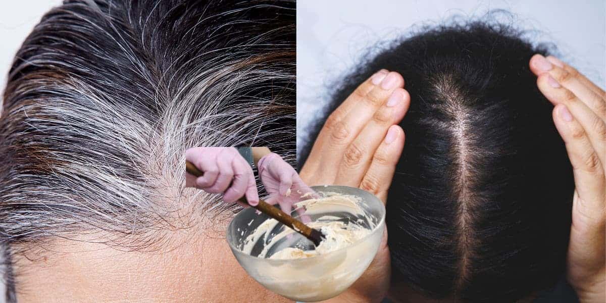 Fim do cabelo branco com receita de 2 ingredientes (Reprodução: Montagem TV Foco)