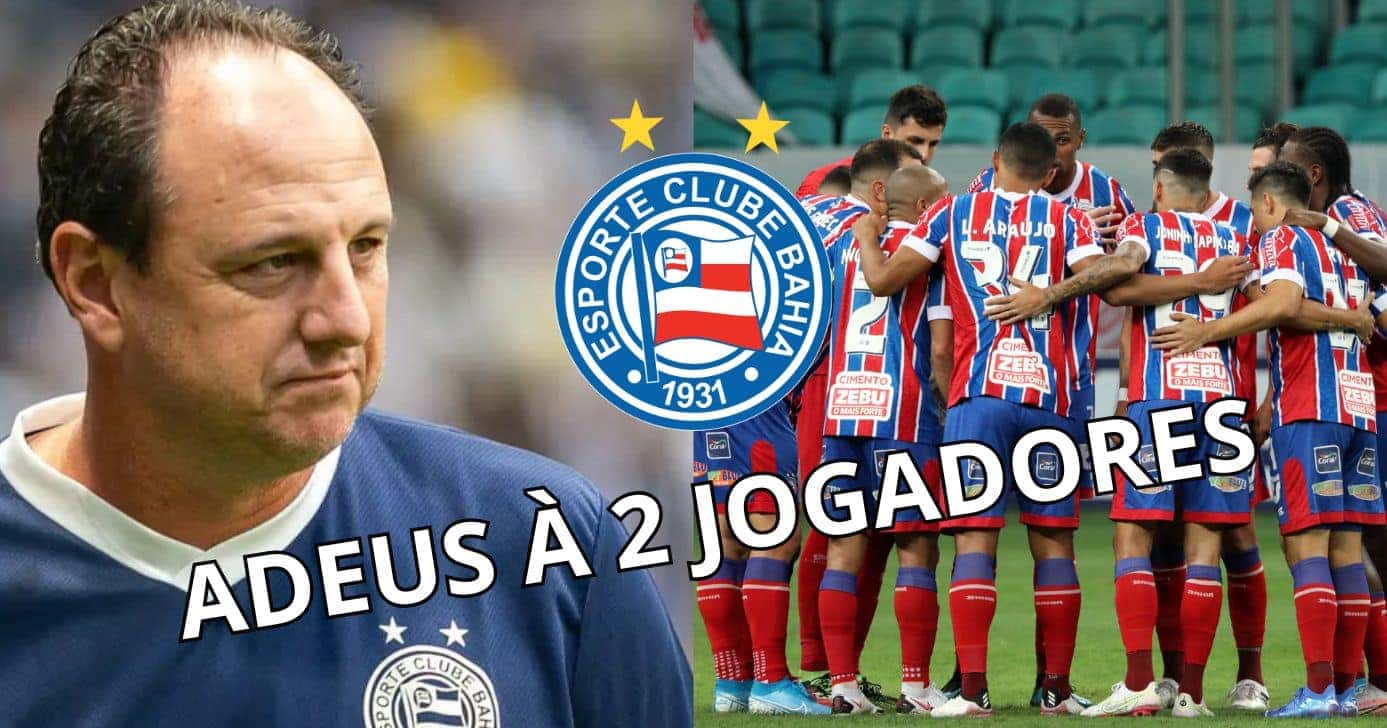 Montagem Lucas Gioia Tv Foco
