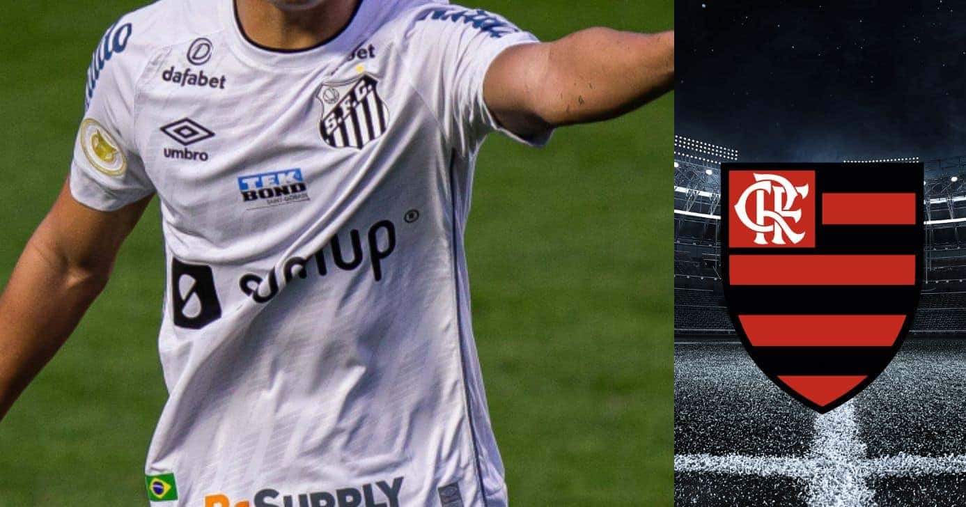 Montagem Lucas Gioia Tv Foco