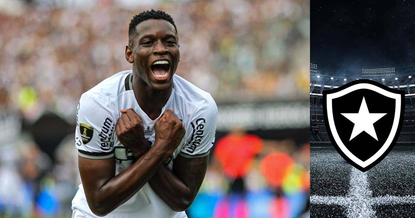 Montagem Lucas Gioia Tv Foco