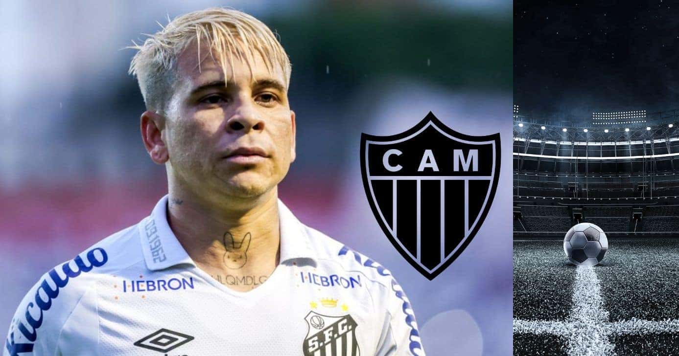 Montagem Lucas Gioia Tv Foco