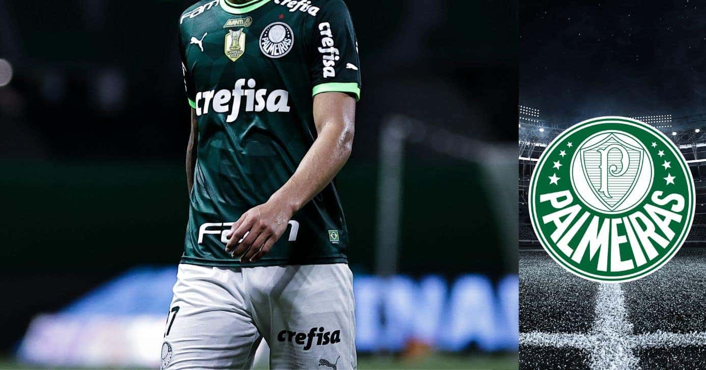 Montagem Lucas Gioia Tv Foco