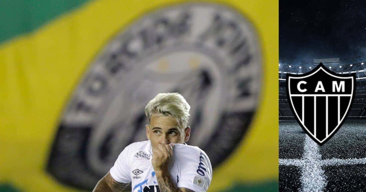 Montagem Lucas Gioia Tv Foco