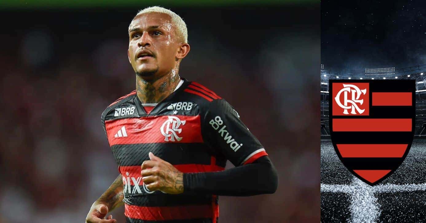Montagem Lucas Gioia Tv Foco