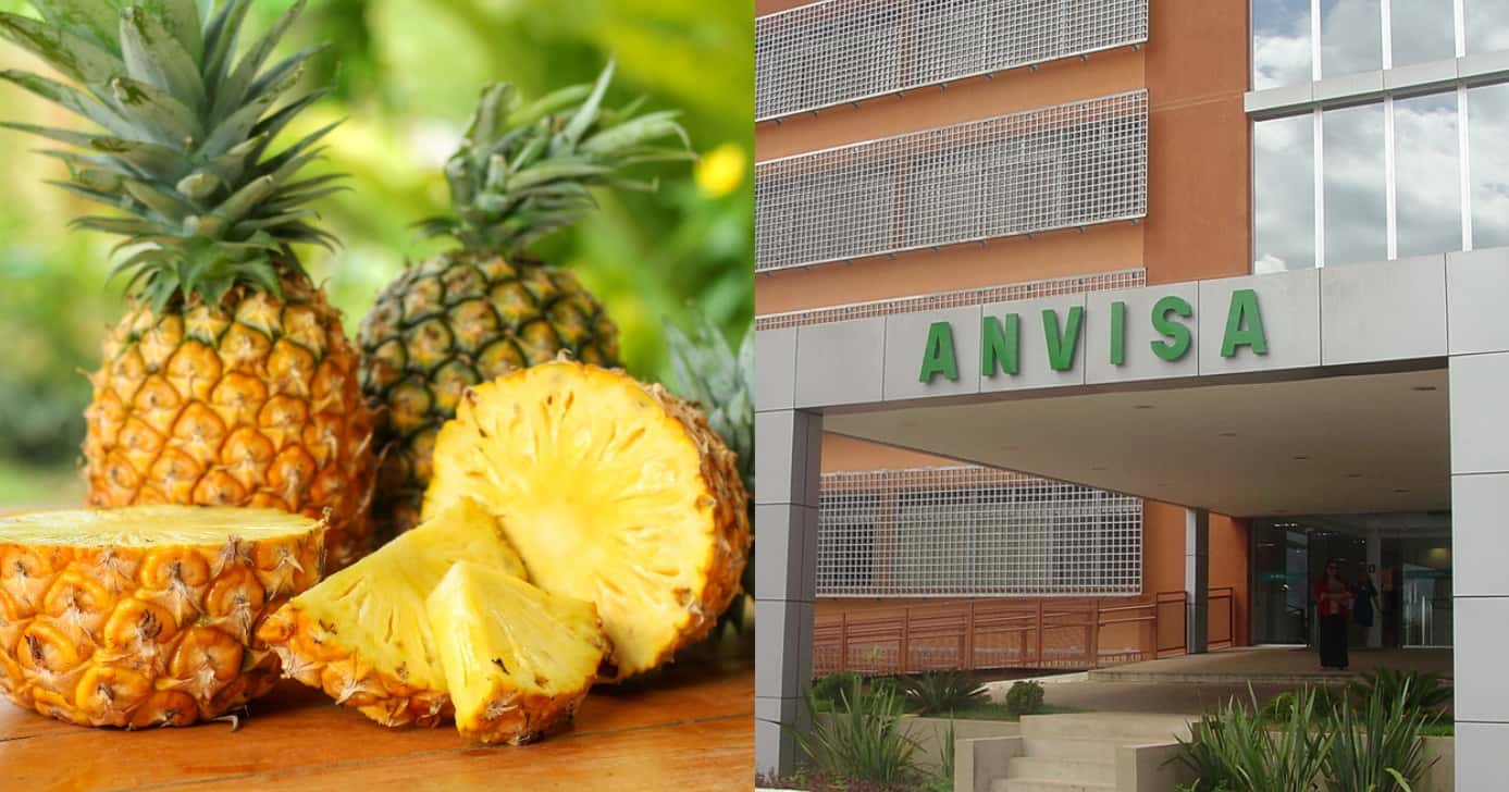 Anvisa faz alerta sobre abacaxi e outra fruta (Foto: Divulgação)