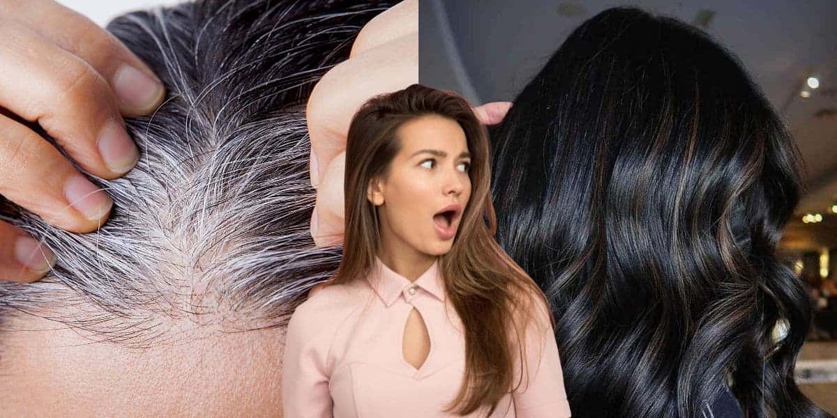 Fim do cabelo branco com receita de 3 ingredientes (Reprodução: Montagem TV Foco)