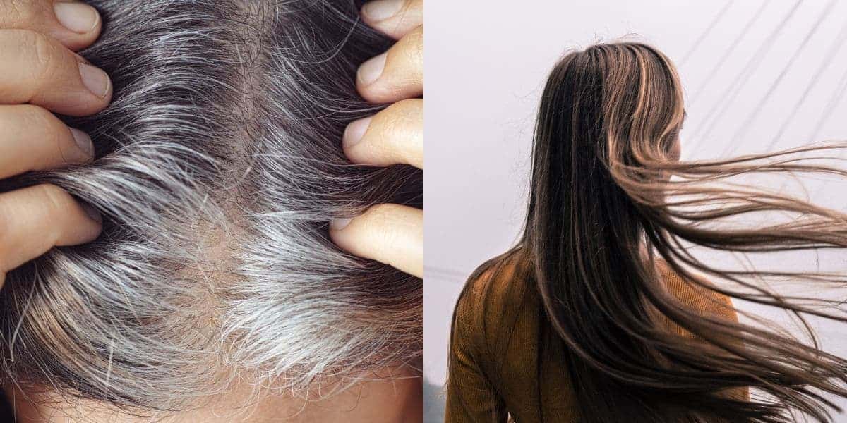 Acabe com o cabelo grisalho com essa receita de 2 ingredientes (Reprodução: Montagem TV Foco)
