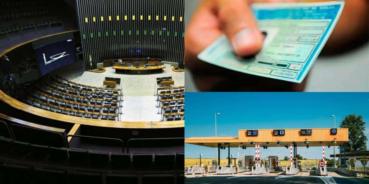 Fim de contagem de pontos na CNH aprovada na Câmara e envolve pedágios (Reprodução: Montagem TV Foco)