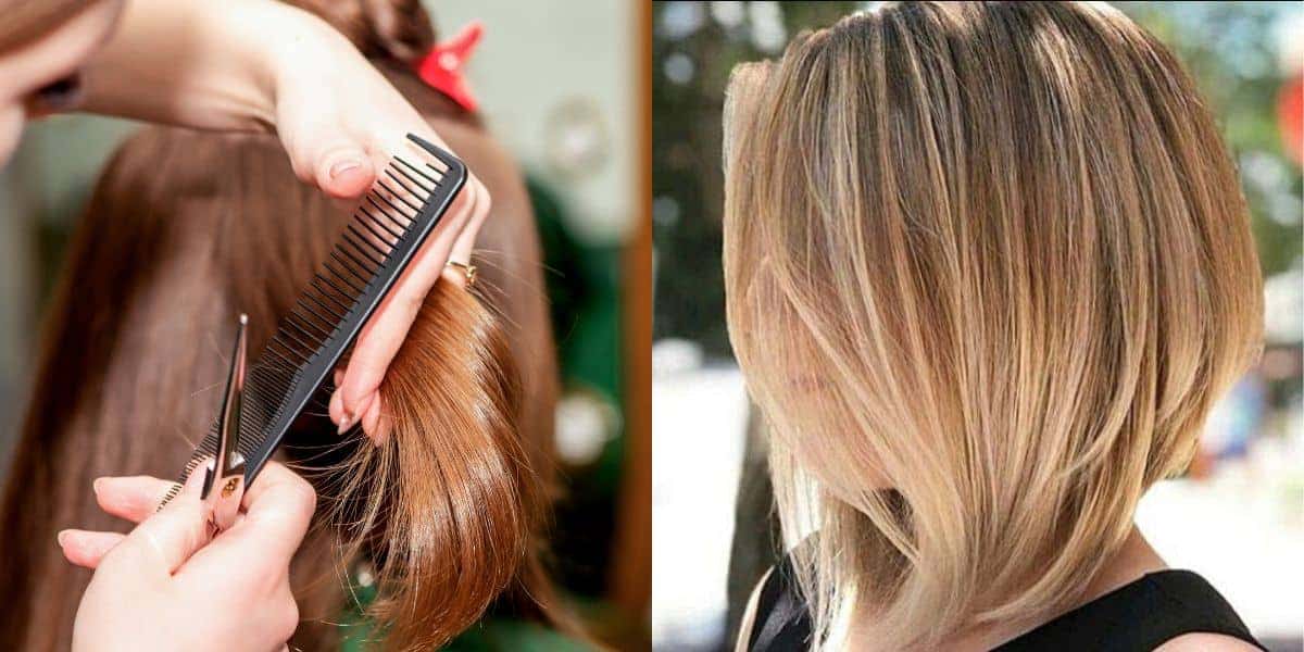 4 cortes de cabelo médio para brilhar em 2025 (Reprodução: Montagem TV Foco)